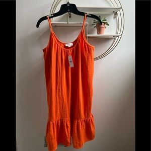 Ann Taylor LOFT small dress NWT